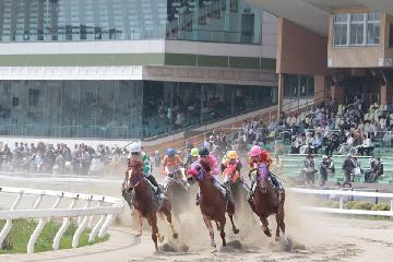 競馬レースの写真