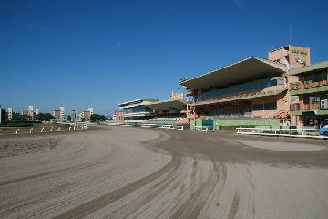 名古屋競馬場の写真