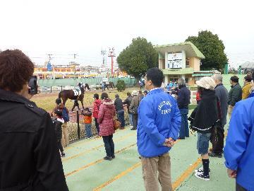 パドックの様子を見る遠山さんの写真