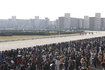 大盛況の名古屋競馬場の写真