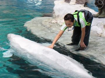 写真:公開トレーニング中の森さん