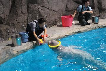 写真:トレーニング中の森さん