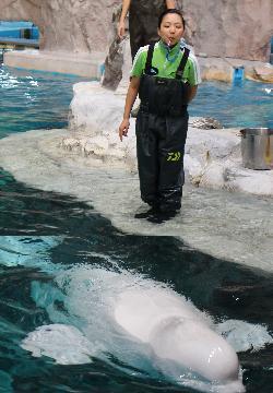 写真:笑顔の森トレーナー