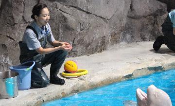 写真:トレーニングの様子