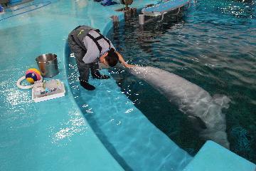 写真:体温が測りやすいようじっと待つ様子