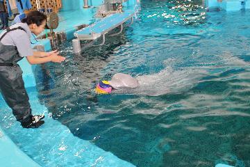 写真:トレーニングの様子