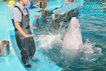 写真:トレーニングの様子2