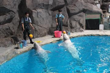 写真:トレーニングの様子3