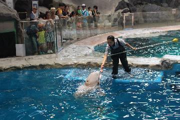 写真:トレーニングの様子