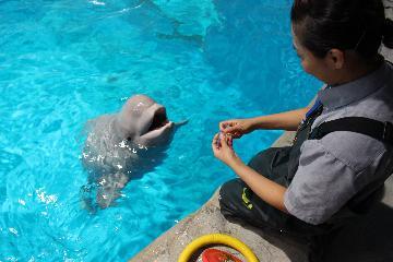 写真:見つめあうミライと森さん