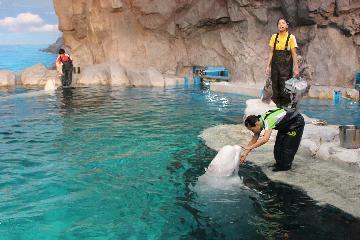 写真:公開トレーニングの様子