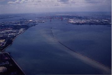 藤前干潟の写真