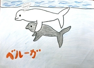 イラスト：ベルーガの子ども