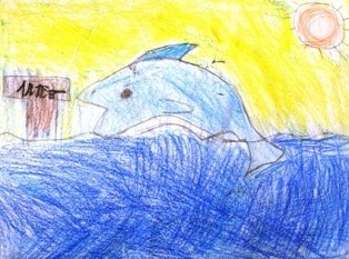 イラスト：名古屋港水族館