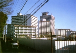 写真：市営高層住宅群