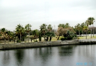 写真：荒子川フェニックスアイランド