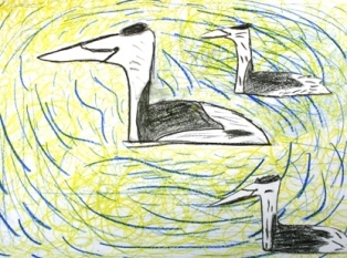 イラスト：藤前干潟3