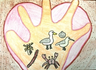 イラスト：藤前干潟1