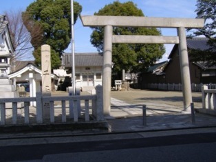 写真：二名社の保存樹(楠)