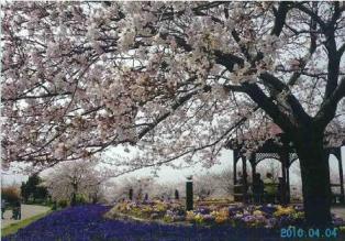 写真：戸田川緑地
