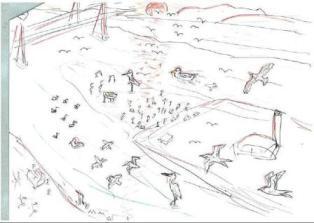 イラスト：藤前干潟