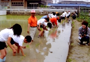 写真：田植えをしている様子