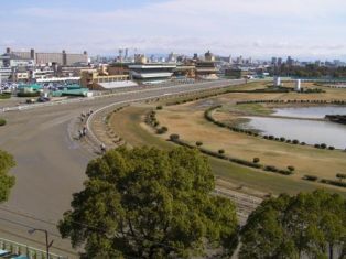 写真：名古屋競馬場
