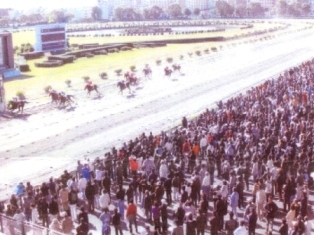 写真：名古屋競馬場