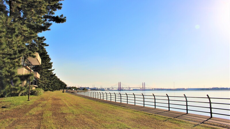 写真：藤前干潟1