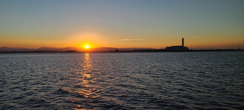 写真：藤前干潟2