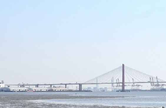 写真：藤前干潟の様子