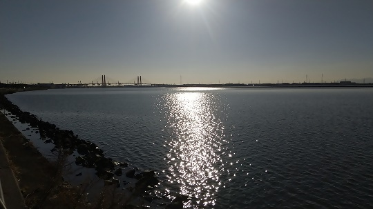 写真：藤前干潟1