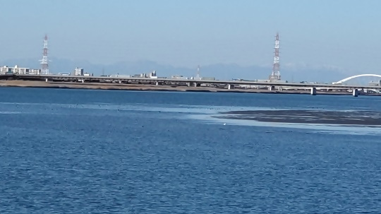 写真：藤前干潟2