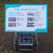 写真：干潟パネル1