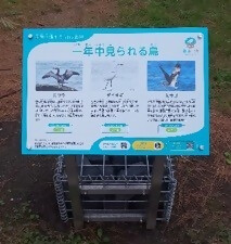 写真：野鳥パネル2