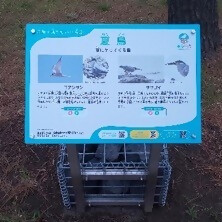 写真：野鳥パネル1