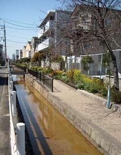 せせらぎ水路の写真