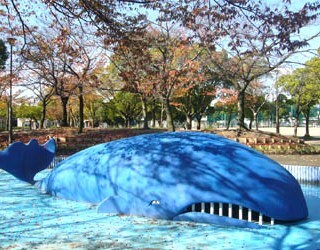 道徳公園のクジラの写真