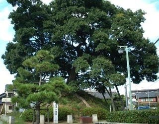 笠寺一里塚の写真