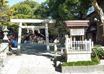 熊野三社松巨島の写真