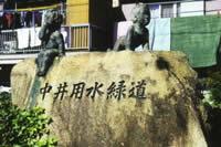中井用水緑道の写真