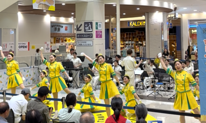 写真:ひまわりの響演 育てよう!区の花ひまわりの様子