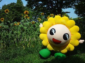 写真:ミオー着ぐるみ