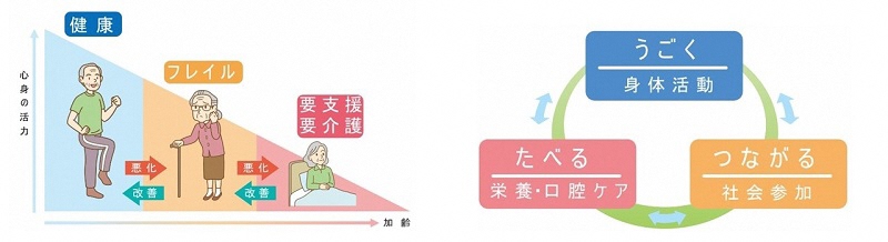 イラスト:フレイルの概念図です。フレイルは健康と要支援・要介護の中間に位置します。