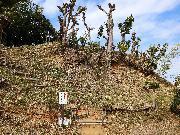 令和5年3月に撮影した守山城跡の写真