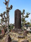 守山城跡にある石碑の写真