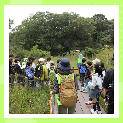 第2回子ども実行委員会にて八竜湿地を見学している写真