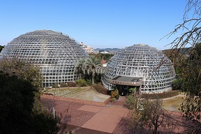 写真:東谷山フルーツパーク(世界の熱帯果樹温室)