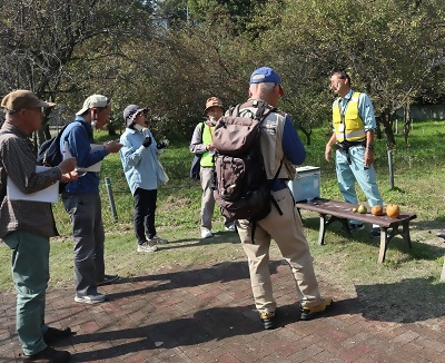 写真:マメナシの実