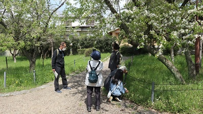 写真:まめなしのお花見&観察会の様子